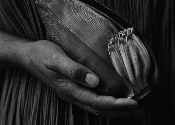 Anita Andrzejewska odbitka Galeria Persja