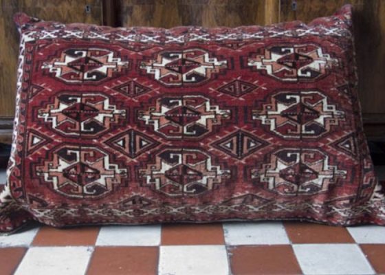 Sakwa Turkmeńska wypchana