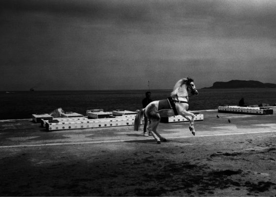 Wydruk Kolekcjonerski