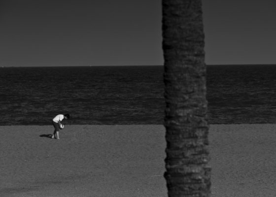 Wydruk Kolekcjonerski